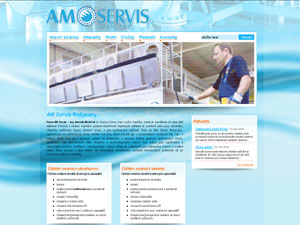 AM SERVIS ROKYCANY